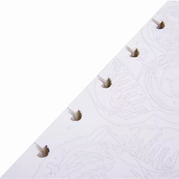 customized Notebooks